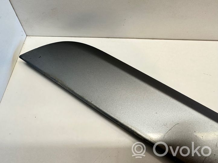 Audi A4 S4 B7 8E 8H Rivestimento portiera posteriore (modanatura) 8E0853969E