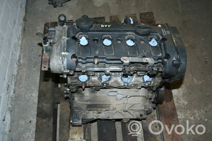 Skoda Octavia Mk2 (1Z) Moottori BVY