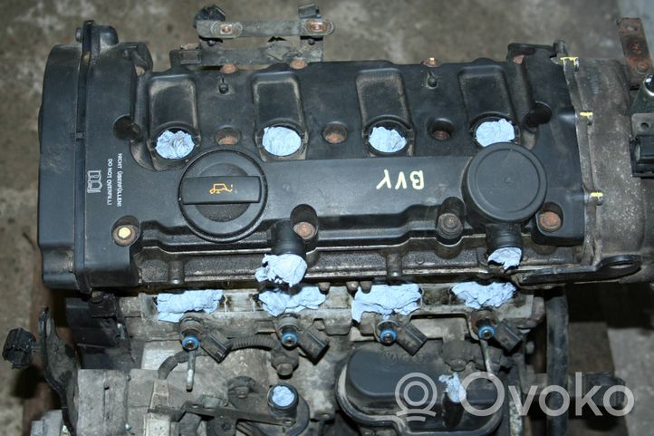 Skoda Octavia Mk2 (1Z) Motore BVY
