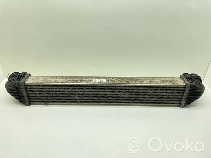 Mercedes-Benz A W169 Radiatore intercooler A1695000000