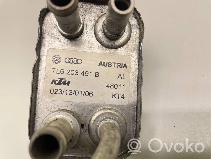 Audi Q7 4L Öljynsuodattimen kannake 7L6203491B