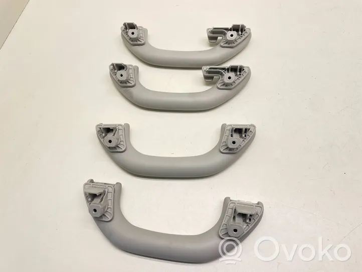 Volkswagen Golf VI A set of handles for the ceiling 1K0857607M