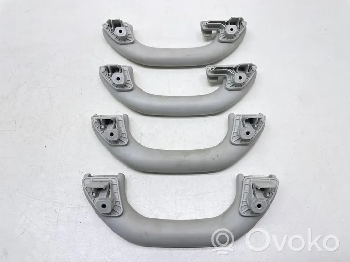 Volkswagen Golf VI A set of handles for the ceiling 1K0857607