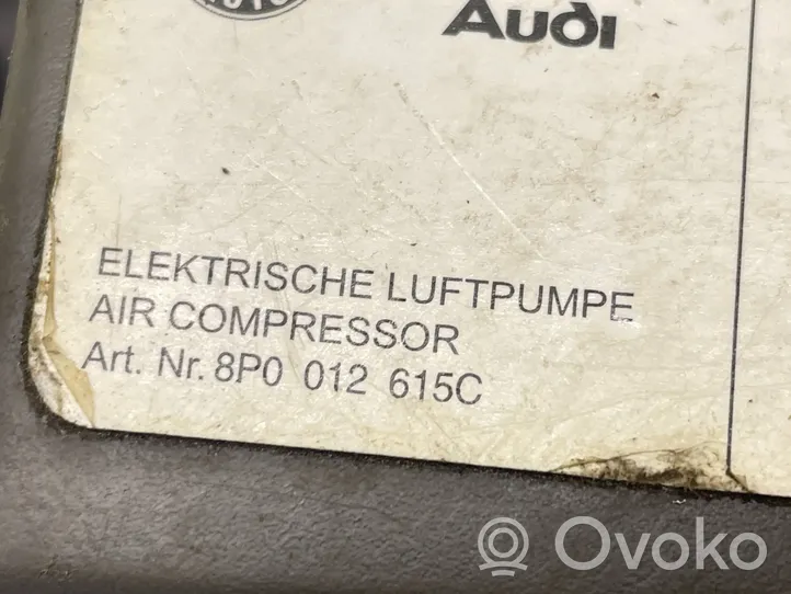 Volkswagen Golf VI Compressore pneumatico 8P0012615C