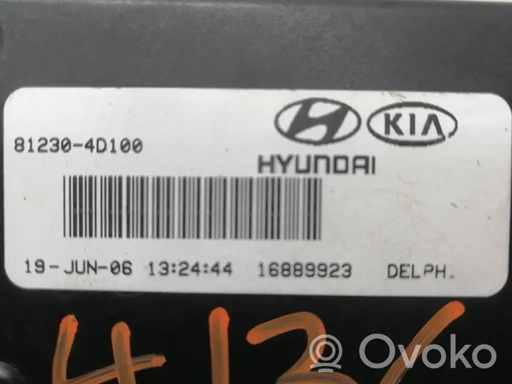 KIA Carnival Spyna galinio borto 812304D100