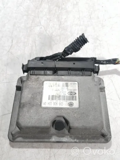 Seat Ibiza III (6L) Sterownik / Moduł ECU 036906034GM