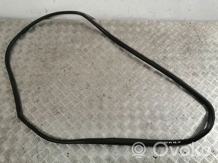 Toyota Avensis T270 Front door rubber seal 