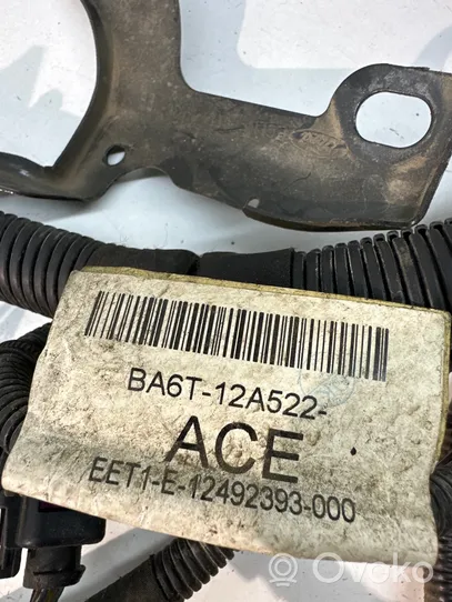 Ford Fiesta Cableado de instalación del motor BA6T12A522