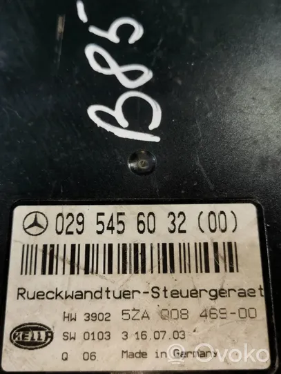 Mercedes-Benz E W211 Unidad de control/módulo del maletero/compartimiento de carga 0295456032