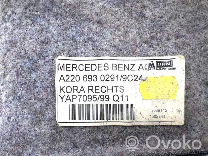 Mercedes-Benz S W220 Tavaratilan/takakontin alempi sivuverhoilu A2206930291