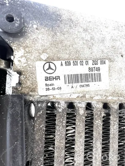 Mercedes-Benz Vito Viano W639 Radiatorių komplektas A6395010401