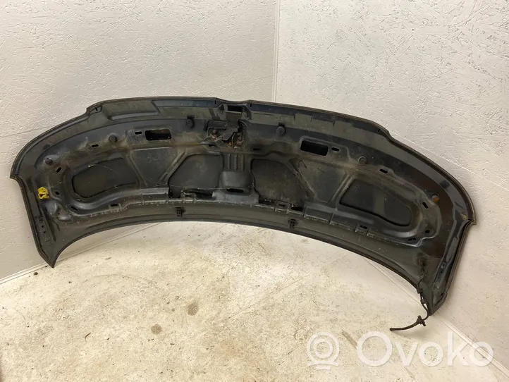 Volkswagen Transporter - Caravelle T5 Engine bonnet/hood 