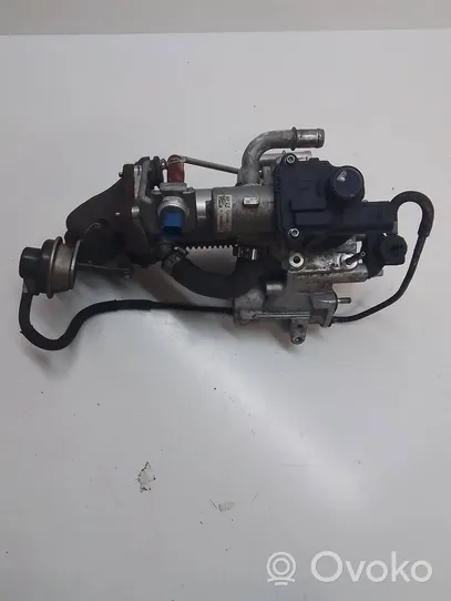 Nissan Juke I F15 Valvola EGR 7003681406