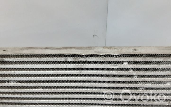 Land Rover Range Rover Sport L320 Chłodnica powietrza doładowującego / Intercooler AH329L440AB