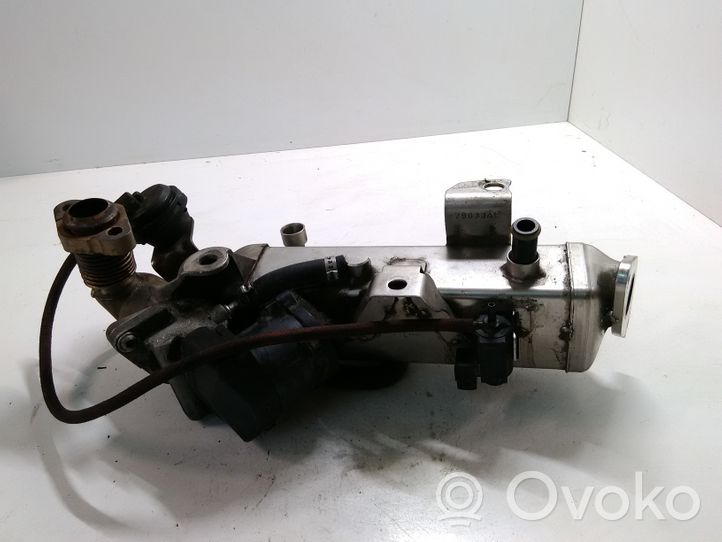 BMW 3 E90 E91 EGR aušintuvas 781087102