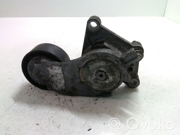 Volvo V50 Napinacz paska alternatora TF129B