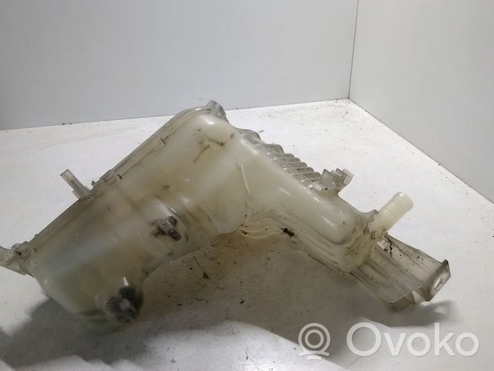 Renault Latitude (L70) Serbatoio di compensazione del liquido refrigerante/vaschetta 217100014R