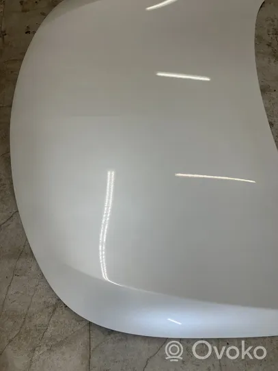 Renault Latitude (L70) Engine bonnet/hood 