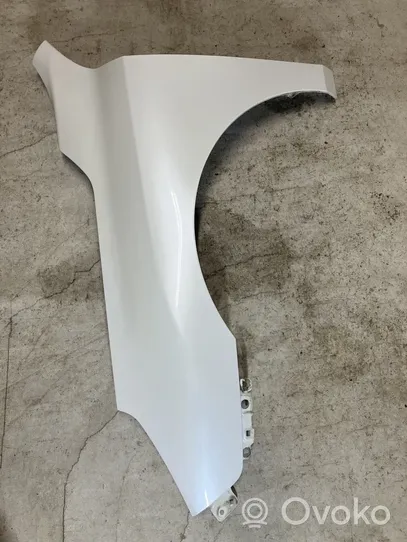 Renault Latitude (L70) Fender 