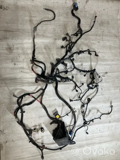 Renault Latitude (L70) Engine installation wiring loom 