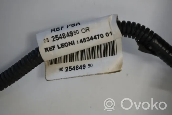 Opel Grandland X Priekinis posūkio žibintas 9825484980