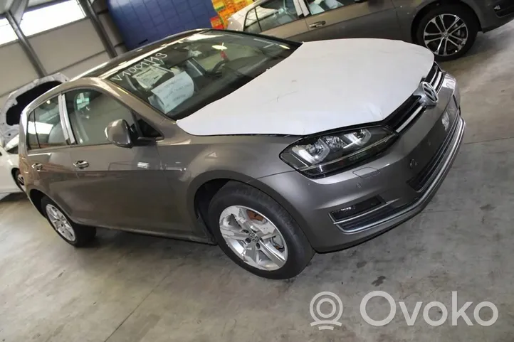 Volkswagen Golf VII Serbatoio a carbone attivo per il recupero vapori carburante 5Q0201797F