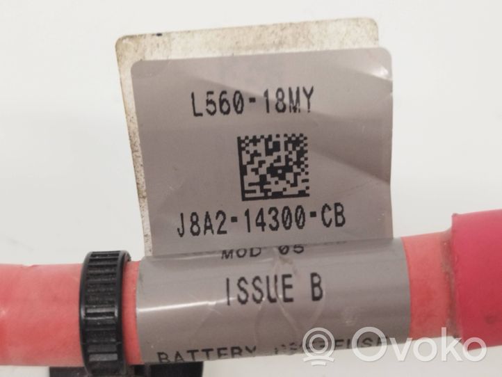 Audi Q3 8U Cable positivo (batería) J8A214300CB