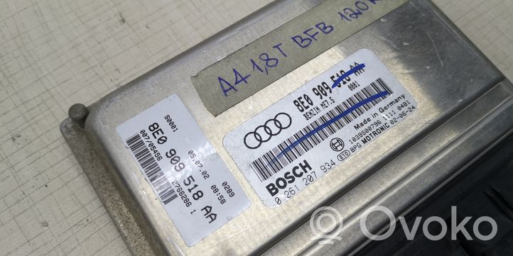 Audi A4 S4 B6 8E 8H Variklio valdymo blokas 8E0909518AA