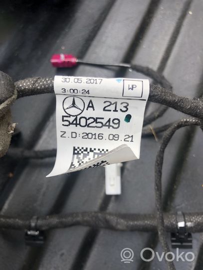 Mercedes-Benz E W213 Wiązka przewodów drzwi przednich A2135402549