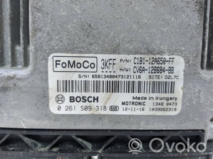 Ford Fiesta Sterownik / Moduł ECU C1B112A650FF