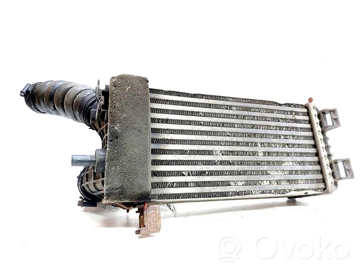 Ford C-MAX II Radiatore intercooler 8V619L440CC