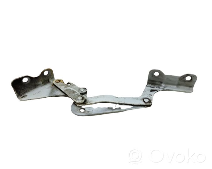 Peugeot iOn Engine bonnet/hood hinges 4C19