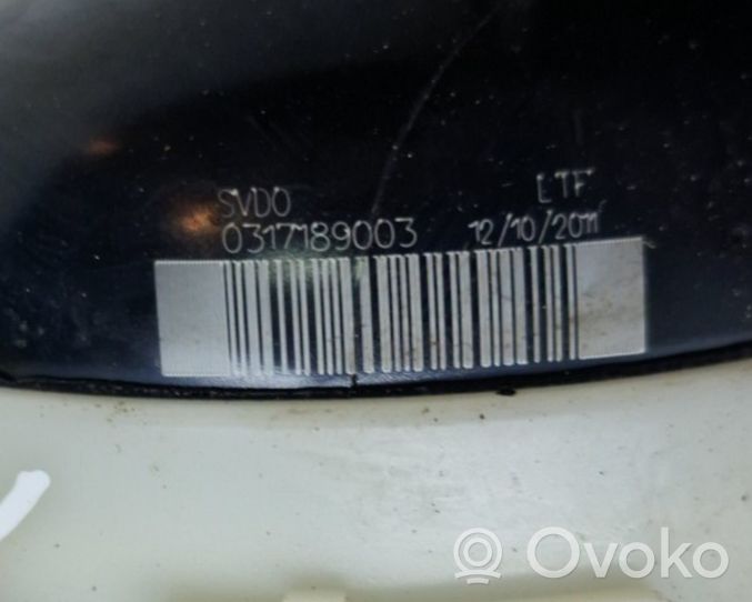 Volvo XC60 Fuel filter 0317189003