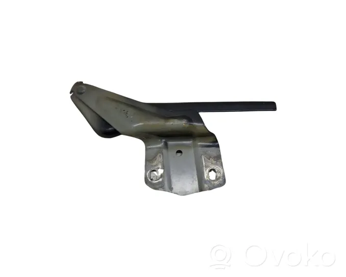 Volkswagen Jetta VI Engine bonnet/hood hinges 5C6823302