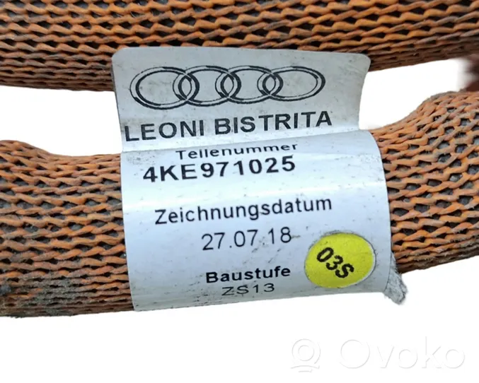 Audi e-tron Inna wiązka przewodów / kabli 4KE971025
