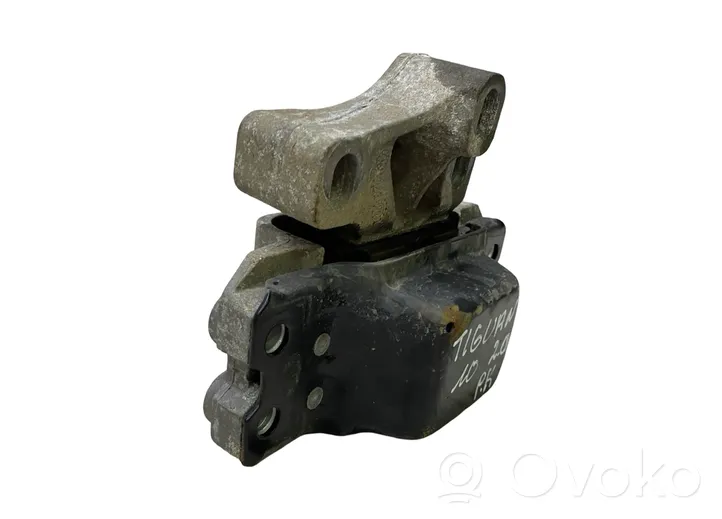 Volkswagen Tiguan Dzinēja spilvens 5N0199555