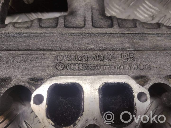 Volkswagen Bora Collettore di aspirazione 038129703J