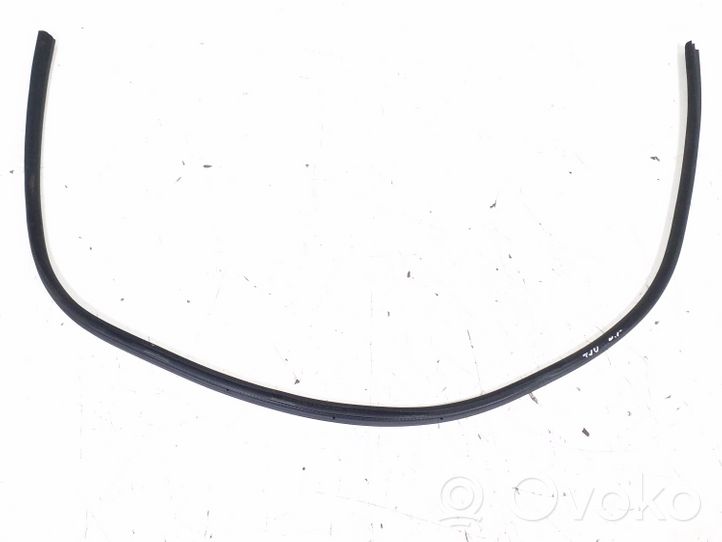 Mercedes-Benz E A207 Front door rubber seal 