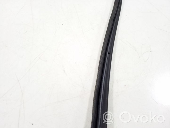 Volkswagen Touareg II Front door rubber seal 7P0867365B