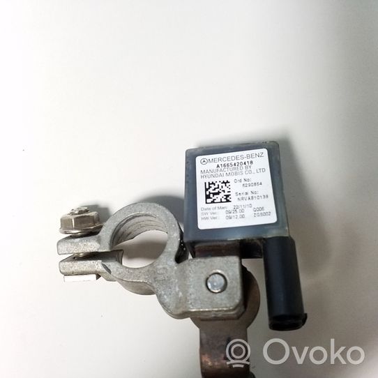 Mercedes-Benz C W204 Cavo negativo messa a terra (batteria) A1665420418