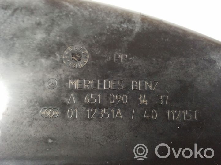 Mercedes-Benz E C207 W207 Oro paėmimo kanalo detalė (-ės) A6510903437