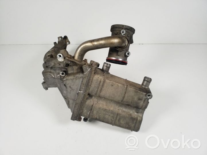 Mercedes-Benz E W211 Valvola di raffreddamento EGR A6461401075