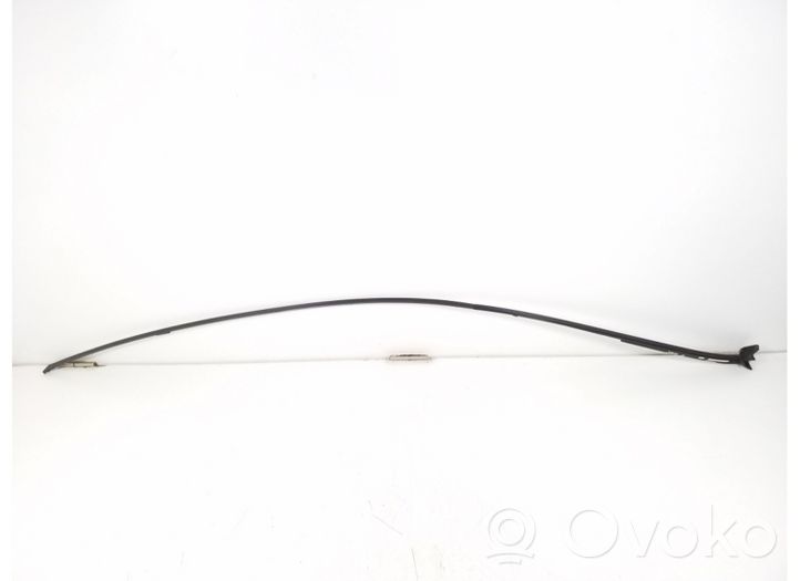 Mercedes-Benz CL C216 Dekoratīva jumta lenta – "moldings" A2166902280