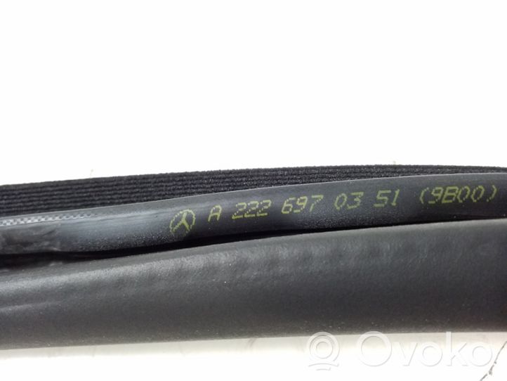 Mercedes-Benz S W222 Rear door rubber seal (on body) A2226970351