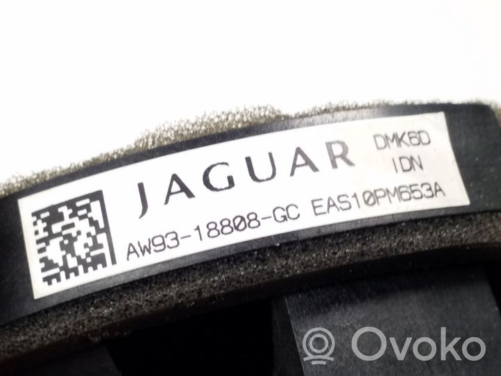 Jaguar XF X250 Głośnik drzwi przednich AW9318808GC