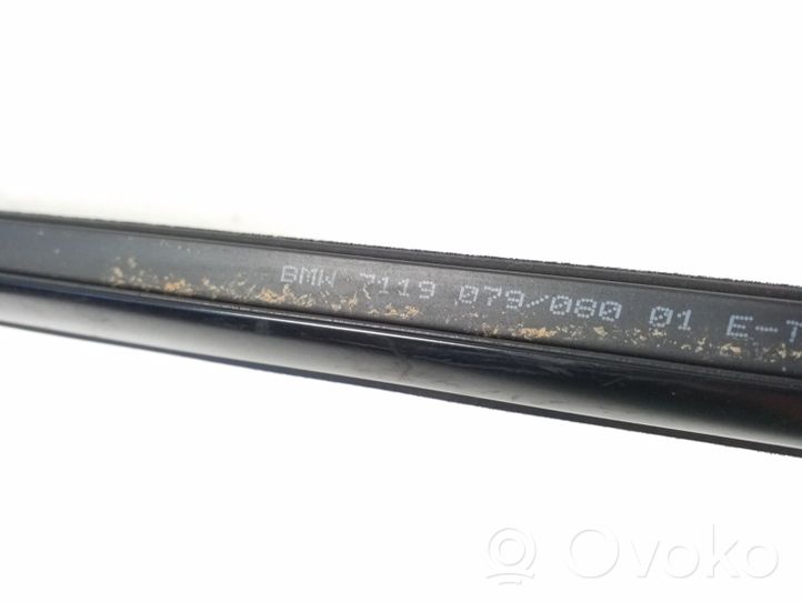 BMW 3 E92 E93 Rivestimento modanatura del vetro della portiera anteriore 7119079