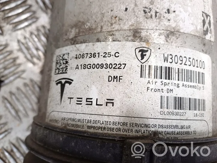 Tesla Model S Amortisseur avant 1067361-25-C