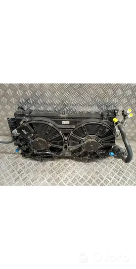 Nissan Leaf I (ZE0) Radiateur de refroidissement 214813NL0B