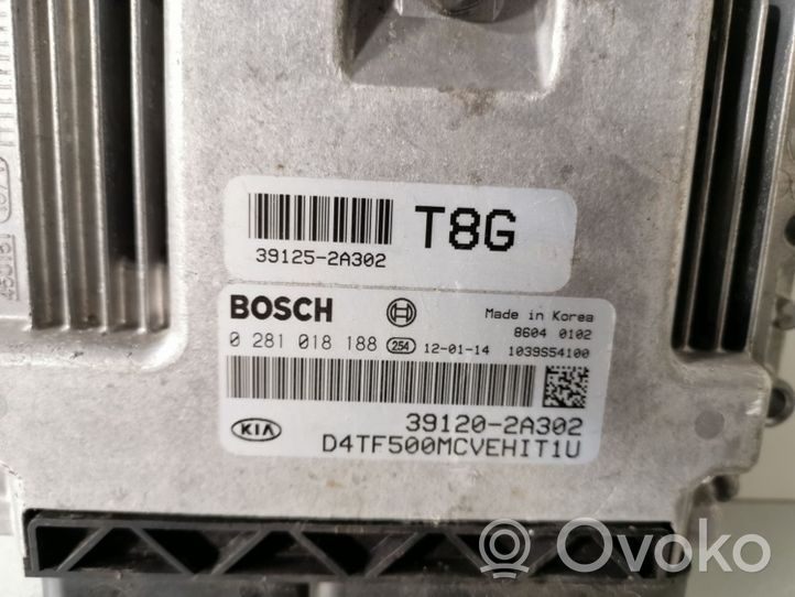 KIA Optima Sterownik / Moduł ECU 0281018188