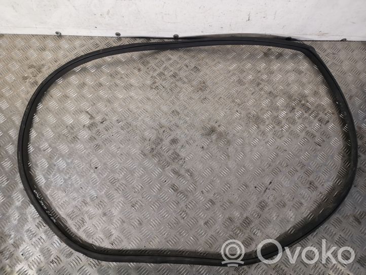 Hyundai Santa Fe Rear door rubber seal (on body) 